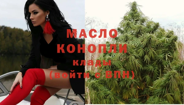дживик Баксан